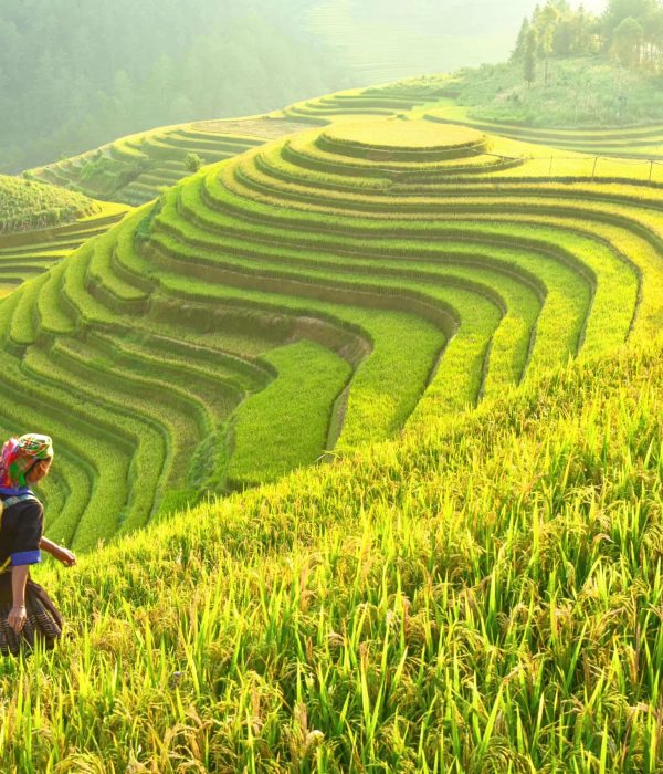 iStock-VN-Sapa iStock-VN-Sapa